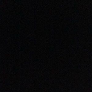 Meet your Posher, Louie